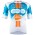 Heren Fietskleding Team DSM Firmenich Postnl 2024 Race shirt