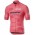 Giro D'Italia 2019 Rosa Wielershirt Korte Mouw