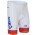 2015 FDJ Korte Fisbroeken