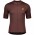 Wielerkleding Profteams 2020 SCOTT ENDURANCE 10 Wielershirt Met Korte Mouwen Marrone