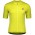 Wielerkleding Profteams 2020 SCOTT ENDURANCE 10 Wielershirt Met Korte Mouwen Giallo