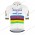 Deceuninck Quick Step 2020 UCI World Champion Fietsshirts Korte Mouws QBIMX