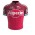 2017 Katusha Wielershirt Met Korte Mouwen