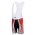 Nalini Pro Team Korte Fietsbroeken Bib Rood