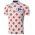 2016 POIS TOUR DE FRANCE Wielershirt Met Korte Mouwen